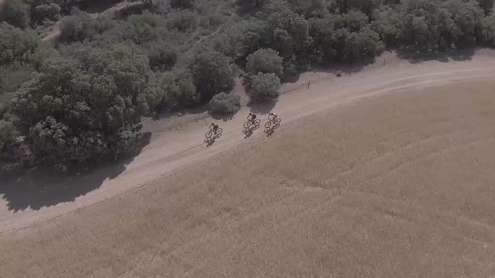 Plano aéreo de ciclistas en un camino entre encinas y campos